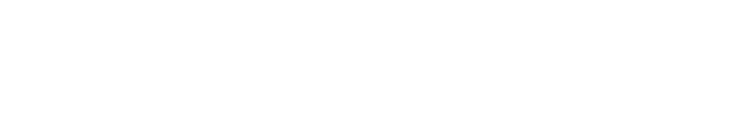 BusNET-Logo